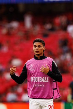 Richard Rios Şampiyonlar Ligi eleme maçında SL Benfica ve Fenerbahçe SK (Maciej Rogowski)