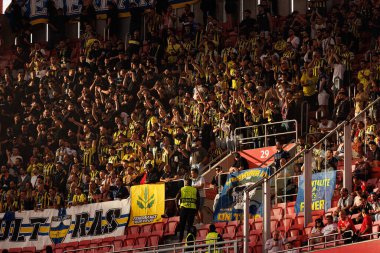 Fenerbahçe taraftarları SL Benfica ve Fenerbahçe SK (Maciej Rogowski) arasındaki Şampiyonlar Ligi ön eleme maçında görüldüler.)