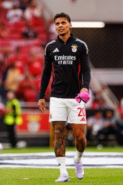 Richard Rios Şampiyonlar Ligi eleme maçında SL Benfica ve Fenerbahçe SK (Maciej Rogowski)