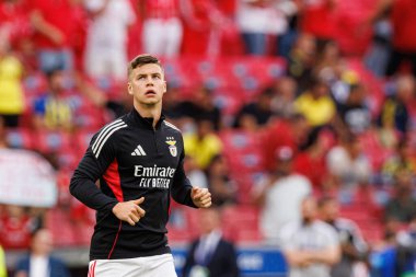 Samuel Dahl, Şampiyonlar Ligi eleme maçında SL Benfica ve Fenerbahçe SK (Maciej Rogowski)