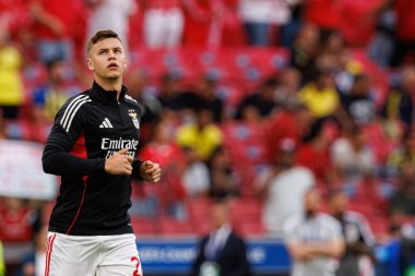Samuel Dahl, Şampiyonlar Ligi eleme maçında SL Benfica ve Fenerbahçe SK (Maciej Rogowski)