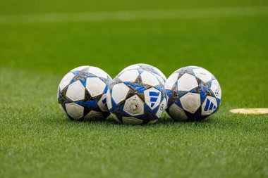 Şampiyonlar Ligi eleme maçında SL Benfica ve Fenerbahçe SK (Maciej Rogowski)