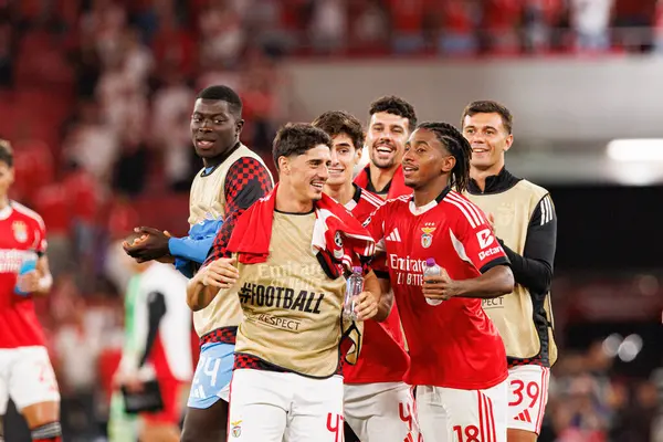 Tiago Gouveia, SL Benfica ve Fenerbahçe SK (Maciej Rogowski) arasındaki Şampiyonlar Ligi ön eleme maçında görüldü.)