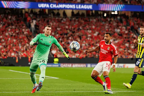 Dominik Livakoviç ve Vangelis Pavlidis SL Benfica ile Fenerbahçe SK (Maciej Rogowski) arasındaki Şampiyonlar Ligi ön eleme maçında görüldüler.)