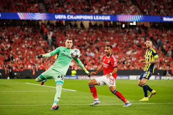 Dominik Livakoviç ve Vangelis Pavlidis SL Benfica ile Fenerbahçe SK (Maciej Rogowski) arasındaki Şampiyonlar Ligi ön eleme maçında görüldüler.)