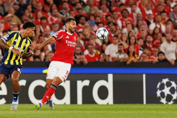 Jayden Oosterwolde ve Vangelis Pavlidis Şampiyonlar Ligi eleme maçında SL Benfica ve Fenerbahçe SK (Maciej Rogowski)