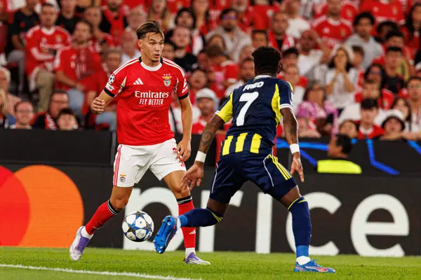 Amar Dediç ve Fred, Şampiyonlar Ligi ön eleme maçında SL Benfica ve Fenerbahçe SK (Maciej Rogowski)