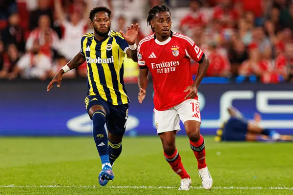 Fred ve Leandro Barreiro, Şampiyonlar Ligi eleme maçında SL Benfica ve Fenerbahçe SK (Maciej Rogowski)