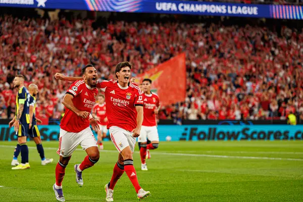 Vangelis Pavlidis ve Antonio Silva SL Benfica ve Fenerbahçe SK (Maciej Rogowski) arasındaki Şampiyonlar Ligi ön eleme maçında gol üstüne gol atarken görüldüler.)