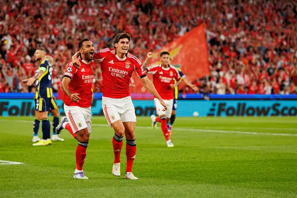 Vangelis Pavlidis ve Antonio Silva SL Benfica ve Fenerbahçe SK (Maciej Rogowski) arasındaki Şampiyonlar Ligi ön eleme maçında gol üstüne gol atarken görüldüler.)