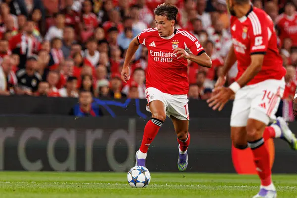 Amar Dediç Şampiyonlar Ligi eleme maçında SL Benfica ve Fenerbahçe SK (Maciej Rogowski) arasında görüldü.)