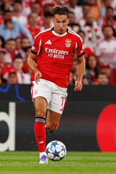 Amar Dediç Şampiyonlar Ligi eleme maçında SL Benfica ve Fenerbahçe SK (Maciej Rogowski) arasında görüldü.)