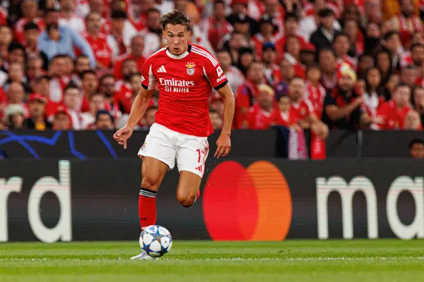 Amar Dediç Şampiyonlar Ligi eleme maçında SL Benfica ve Fenerbahçe SK (Maciej Rogowski) arasında görüldü.)