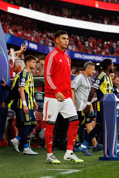 Enzo Barrenechea, Şampiyonlar Ligi eleme maçında SL Benfica ve Fenerbahçe SK (Maciej Rogowski) arasında görüldü.)