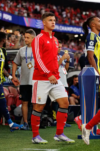 Samuel Dahl, Şampiyonlar Ligi eleme maçında SL Benfica ve Fenerbahçe SK (Maciej Rogowski)