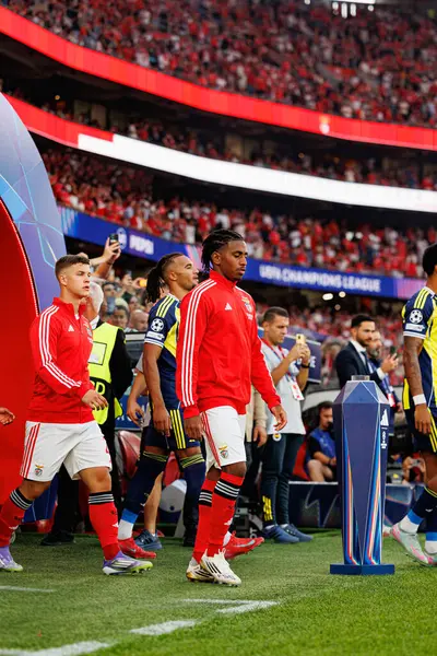 Leandro Barreiro Şampiyonlar Ligi eleme maçında SL Benfica ve Fenerbahçe SK (Maciej Rogowski) arasında görüldü.)