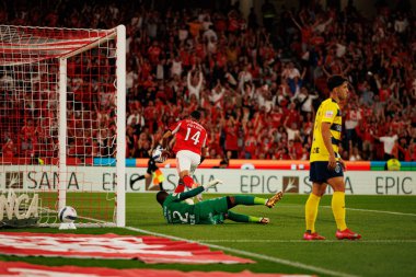 Vangelis Pavlidis seen celebrating after scoring goal during Liga Portugal game between SL Benfica and Gil Vicente FC (Ball Raw Images/ Maciej Rogowski)