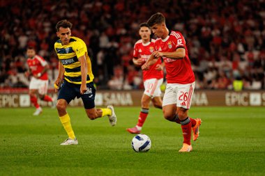 Facundo Caseres and Samuel Dahl seen during Liga Portugal game between SL Benfica and Gil Vicente FC (Ball Raw Images/ Maciej Rogowski)