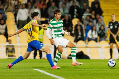 Jordan Holsgrove and Giorgos Vagiannidis seen during Liga Portugal game between teams of GD Estoril Praia and Sporting CP at Estadio Antonio Coimbra da Mota (Maciej Rogowski/Ball Raw Images)