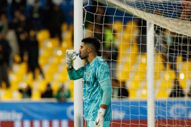 Rui Silva seen during Liga Portugal game between teams of GD Estoril Praia and Sporting CP at Estadio Antonio Coimbra da Mota (Maciej Rogowski/Ball Raw Images)