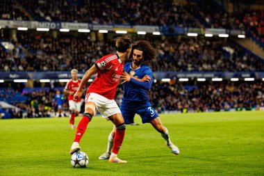 Amar Dedic  and Marc Cucurella seen during Champions League league phase game between Chelsea FC and  SL Benfica (Maciej Rogowski/ Ball Raw Images)