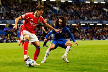 Amar Dedic  and Marc Cucurella seen during Champions League league phase game between Chelsea FC and  SL Benfica (Maciej Rogowski/ Ball Raw Images)