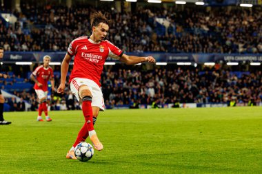 Amar Dedic seen during Champions League league phase game between Chelsea FC and  SL Benfica (Maciej Rogowski/ Ball Raw Images)