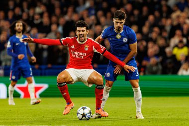 Tomas Araujo and Pedro Neto seen during Champions League league phase game between Chelsea FC and  SL Benfica (Maciej Rogowski/ Ball Raw Images)
