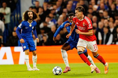 Jamie Gittens and Amar Dedic seen during Champions League league phase game between Chelsea FC and  SL Benfica (Maciej Rogowski/ Ball Raw Images)