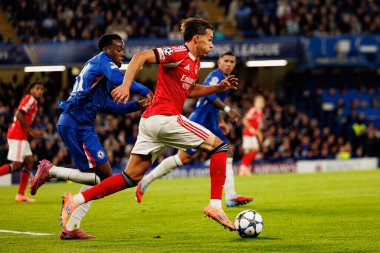 Jamie Gittens and Amar Dedic seen during Champions League league phase game between Chelsea FC and  SL Benfica (Maciej Rogowski/ Ball Raw Images)