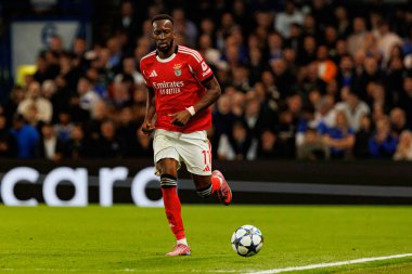 Dodi Lukebakio seen during Champions League league phase game between Chelsea FC and  SL Benfica (Maciej Rogowski/ Ball Raw Images)
