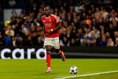 Dodi Lukebakio seen during Champions League league phase game between Chelsea FC and  SL Benfica (Maciej Rogowski/ Ball Raw Images)