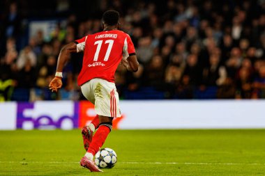 Dodi Lukebakio seen during Champions League league phase game between Chelsea FC and  SL Benfica (Maciej Rogowski/ Ball Raw Images)
