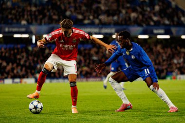 Amar Dedic and Jamie Gittens seen during Champions League league phase game between Chelsea FC and  SL Benfica (Maciej Rogowski/ Ball Raw Images)