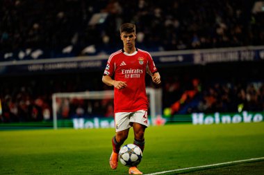 Samuel Dahl seen during Champions League league phase game between Chelsea FC and  SL Benfica (Maciej Rogowski/ Ball Raw Images)
