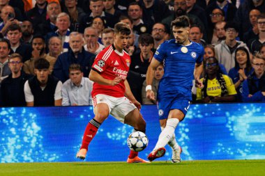 Samuel Dahl and Pedro Neto seen during Champions League league phase game between Chelsea FC and  SL Benfica (Maciej Rogowski/ Ball Raw Images)