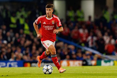 Samuel Dahl seen during Champions League league phase game between Chelsea FC and  SL Benfica (Maciej Rogowski/ Ball Raw Images)