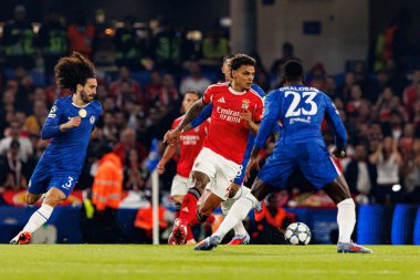 Marc Cucurella  and Richard Rios seen during Champions League league phase game between Chelsea FC and  SL Benfica (Maciej Rogowski/ Ball Raw Images)