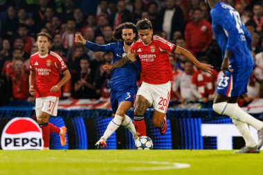 Marc Cucurella  and Richard Rios seen during Champions League league phase game between Chelsea FC and  SL Benfica (Maciej Rogowski/ Ball Raw Images)