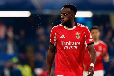 Dodi Lukebakio seen during Champions League league phase game between Chelsea FC and  SL Benfica (Maciej Rogowski/ Ball Raw Images)