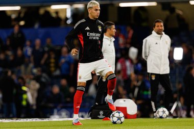 Enzo Barrenechea seen during Champions League league phase game between Chelsea FC and  SL Benfica (Maciej Rogowski/ Ball Raw Images)