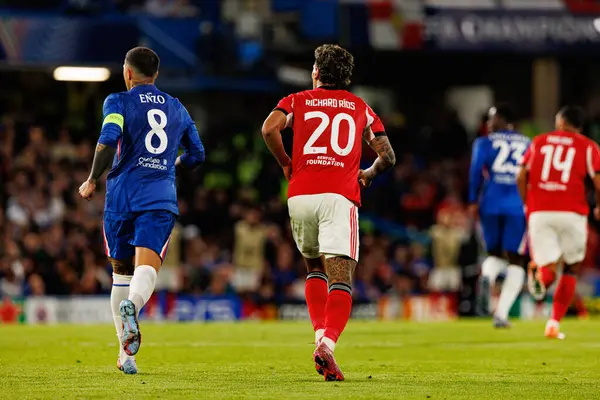Enzo Fernandez and Richard Rios seen during Champions League league phase game between Chelsea FC and  SL Benfica (Maciej Rogowski/ Ball Raw Images)