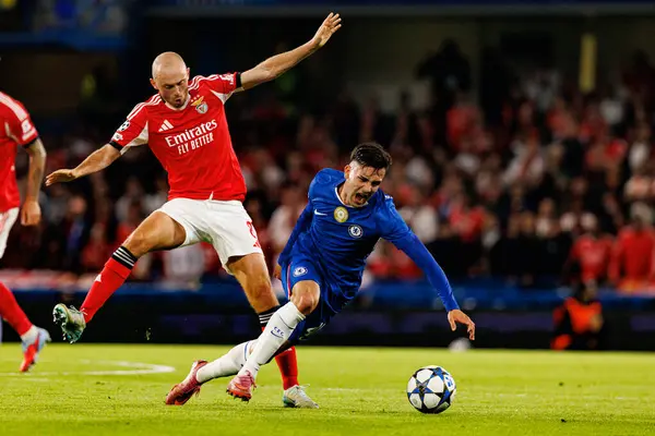 Fredrik Aursnes and Facundo Buonanotte seen during Champions League league phase game between Chelsea FC and  SL Benfica (Maciej Rogowski/ Ball Raw Images)