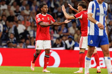 Leandro Barreiro and Amar Dedic seen during Liga Portugal game between teams of FC Porto and SL Benfica at Estadio do Dragao (Maciej Rogowski/Ball Raw Images)
