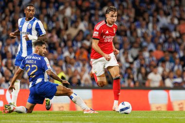 Alan Varela and Amar Dedic seen during Liga Portugal game between teams of FC Porto and SL Benfica at Estadio do Dragao (Maciej Rogowski/Ball Raw Images)