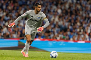 Diogo Costa seen during Liga Portugal game between teams of FC Porto and SL Benfica at Estadio do Dragao (Maciej Rogowski/Ball Raw Images)