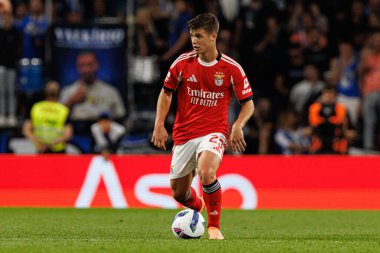 Samuel Dahl seen during Liga Portugal game between teams of FC Porto and SL Benfica at Estadio do Dragao (Maciej Rogowski/Ball Raw Images)