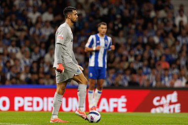 Diogo Costa seen during Liga Portugal game between teams of FC Porto and SL Benfica at Estadio do Dragao (Maciej Rogowski/Ball Raw Images)