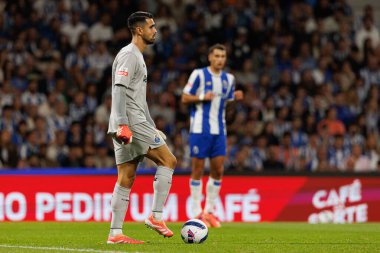 Diogo Costa seen during Liga Portugal game between teams of FC Porto and SL Benfica at Estadio do Dragao (Maciej Rogowski/Ball Raw Images)