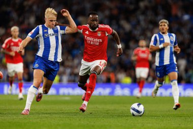 Victor Froholdt and Dodi Lukebakio seen during Liga Portugal game between teams of FC Porto and SL Benfica at Estadio do Dragao (Maciej Rogowski/Ball Raw Images)